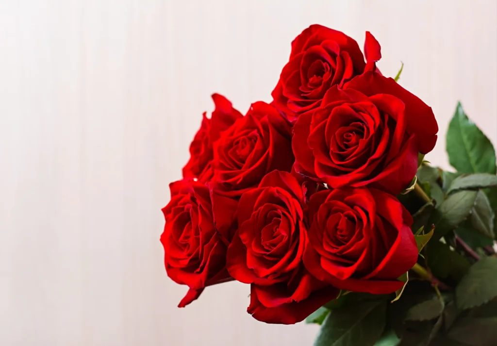 Flowers for Your Engagement Theme - 3. Roses (Gulab)