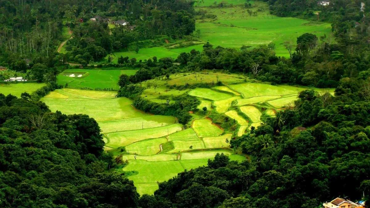 Summer Wedding Location & Venue - Coorg, Karnataka
