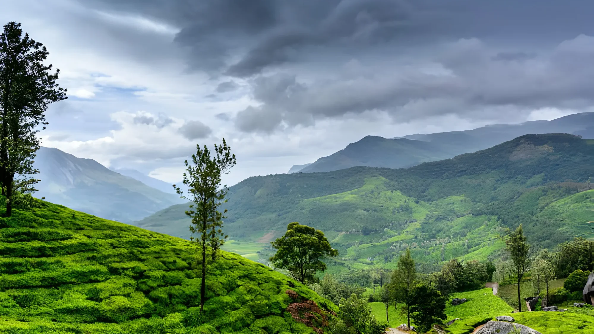 Summer Wedding Location & Venue - Wayanad, Kerala