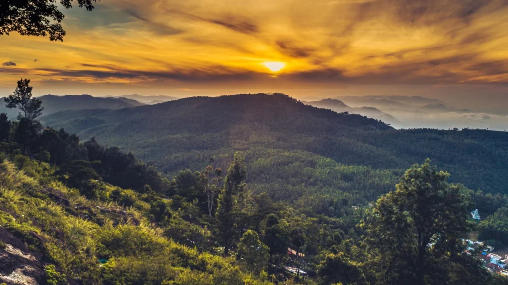Summer Wedding Location & Venue - Yercaud, Tamil Nadu