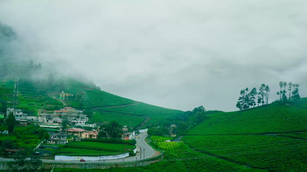 Summer Wedding Location & Venue - Ooty, Tamil Nadu